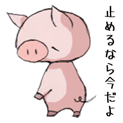 Sorrowful pig