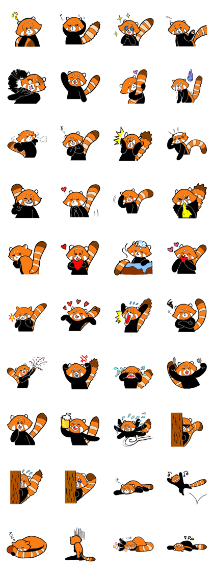 Lesser panda days