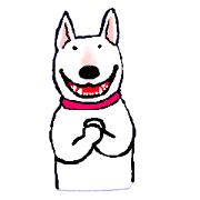 HANA of bull terrier