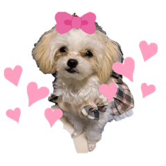 ayumi_20200122134745