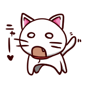 white cat Sugar