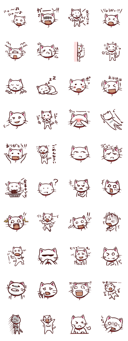 white cat Sugar