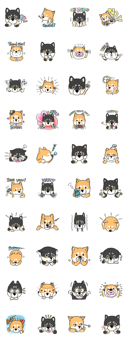 Shiba Inu "Hanapi" & "Kinako" face type