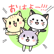 Cat girls from Japan
