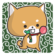 Daily life of the Japanese Shiba inu