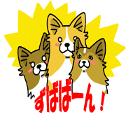 Three Corgi's