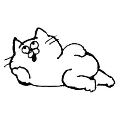 The empty cat cat