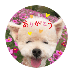 yukari_20200122174954