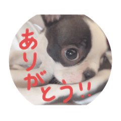 ask_20200122190515