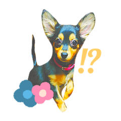 Smile_20200122200140