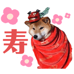 Kurumi_20200122190721