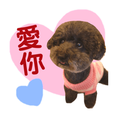 奴才的三寶
