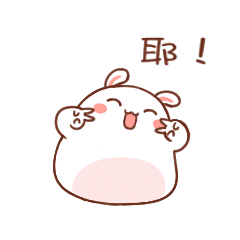 拇指小兔子3