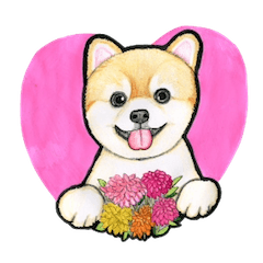 Heart-warming Pomeranian Sticker