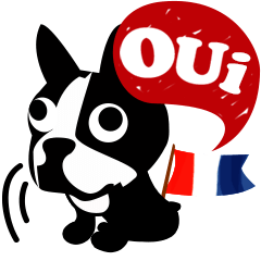 Oui Oui MIX!<for French> Loco Para