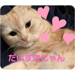 Chie_20200122222020