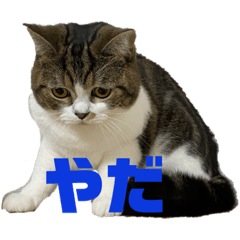 matsu_20200122222608