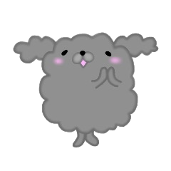 Fluffy poodle