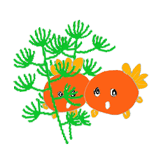 Kawaii Goldfish