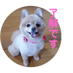 natsumi_20200123021131