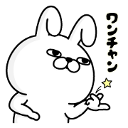 Rabbit 100% × Studysapuri