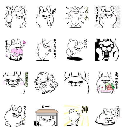 Rabbit 100% × Studysapuri