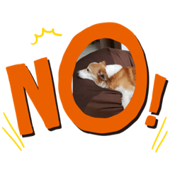 bosskun_20200123090909