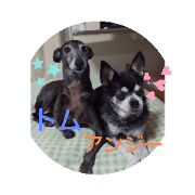 yonabe_20200123094608
