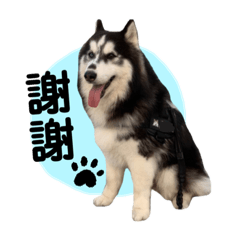 仔仔日誌 第一集