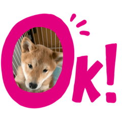 Takashi_20200123124953