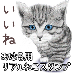 Miharu Real pretty cats