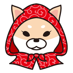 Shiba Inu to wear a hood