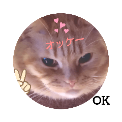 King_20200123173321