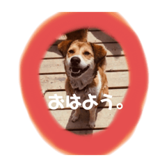 KAYO_20200122224228