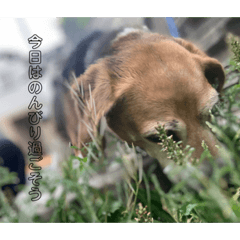 Nanami_20200123204457