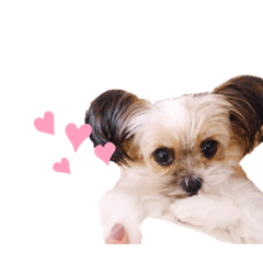 kurumi_20200123215907