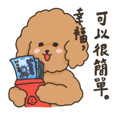 Cute Toy Poodle MULLER'S Daily Life