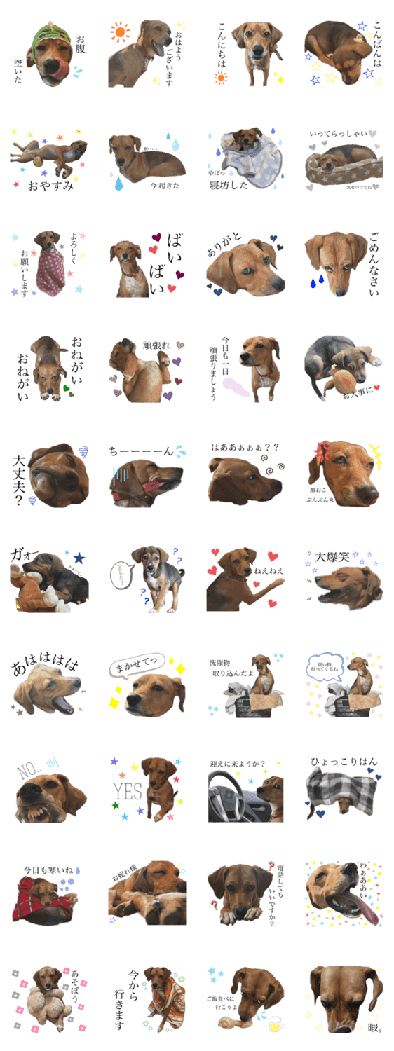 ビーグル犬の日常 Lineクリエイターズスタンプ Stamplist