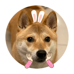 嗨啾說嗨