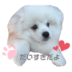 sumire_20200124003337