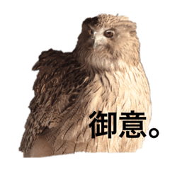 Hokkaido Friends