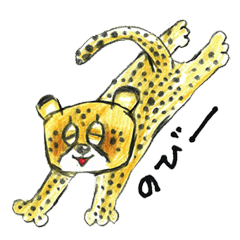 Willful cheetah [Chitata].