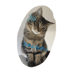 nagisa_20200124123509