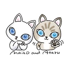 Blue eyes cat "Maiko"& "Ataru"