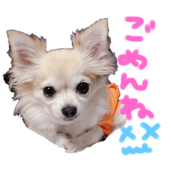 いぬ Lineクリエイターズスタンプまとめ Stamplist Part 29