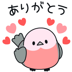 A lot of hearts! Lovely Parakeet