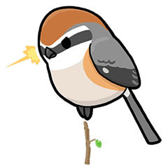 Tori Watch Line Stickers Line Store Tori Watch Line Stickers Line Store