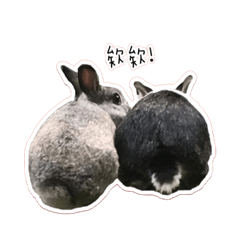 阿ㄊㄨˇㄊㄨˊ& 小皮ㄟ日常