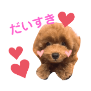 rionyan_202001251111267