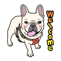 French bulldog Friend